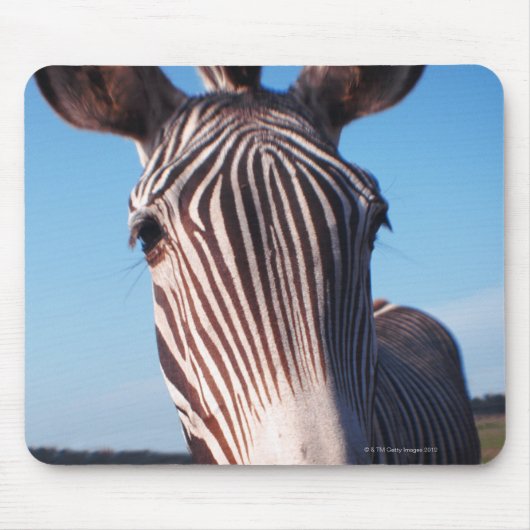 Zebra 2 mousepad (Vorne)