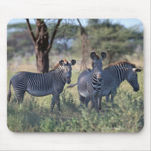 Zebra 2 mousepad
