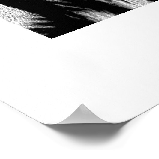 Zebra #2-Poster Poster (Ecke)