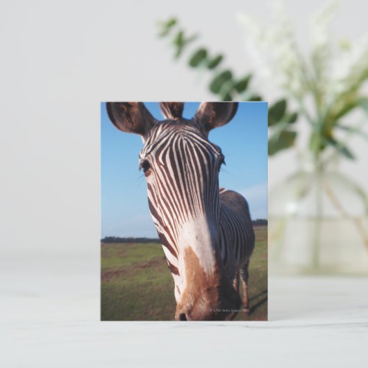 Zebra 2 postkarte (Stehend Vorderseite)