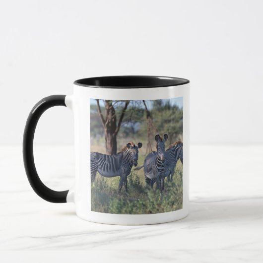 Zebra 2 tasse (Links)