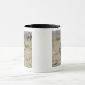 Zebra 2 tasse (Zentrum)