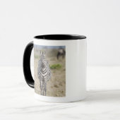 Zebra 2 tasse (Vorderseite Links)