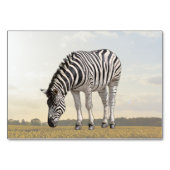 Zebra ABA Tact Labeling Flashcard | Picture Card Tischnummer (Vorderseite)