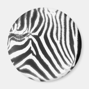 Zebra Abstrakt Magnet