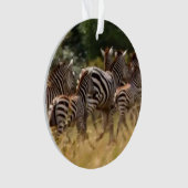 Zebra-Acryl-Kreisschmuck Ornament (Vorderseite)