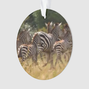 Zebra-Acryl-Kreisschmuck Ornament