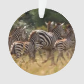 Zebra-Acryl-Kreisschmuck Ornament (Vorderseite)