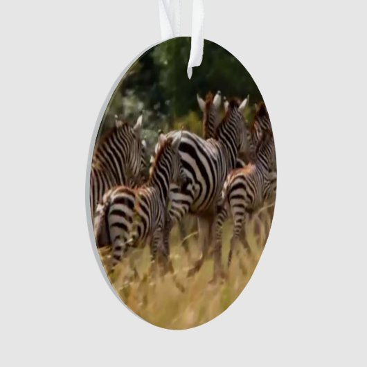 Zebra-Acrylkreisschmuck Ornament (Vorderseite)