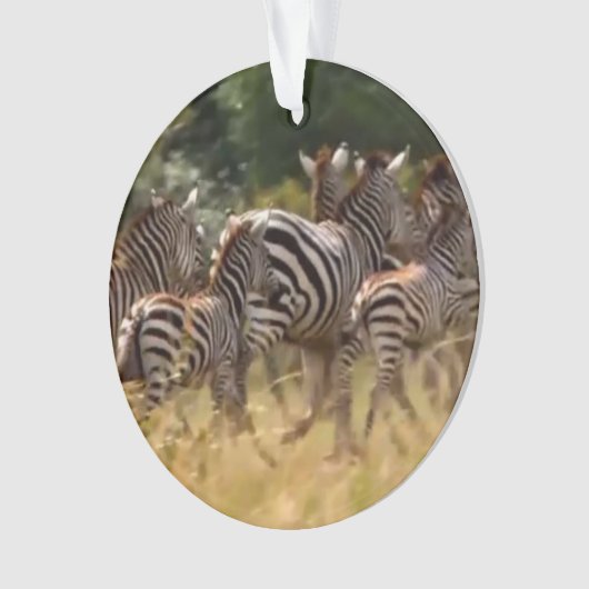 Zebra-Acrylkreisschmuck Ornament (Vorderseite)