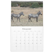 Zebra africa kalender (Feb 2027)