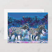 Zebra africa namibia nature postkarte (Vorne/Hinten)