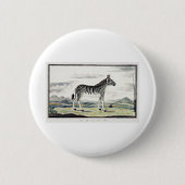 Zebra Africa Stripe Animal Zeichnend Illustration Button (Vorderseite)