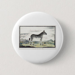 Zebra Africa Stripe Animal Zeichnend Illustration Button