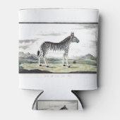 Zebra Africa Stripe Animal Zeichnend Illustration Dosenkühler (Vorderseite)