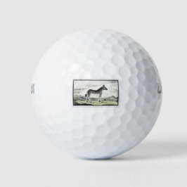 Zebra Africa Stripe Animal Zeichnend Illustration Golfball
