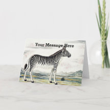 Zebra Africa Stripe Animal Zeichnend Illustration