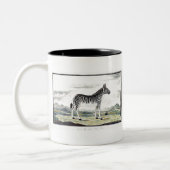 Zebra Africa Stripe Animal Zeichnend Illustration Zweifarbige Tasse (Links)