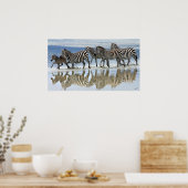 Zebra African Wildlife Poster Print (Küche)