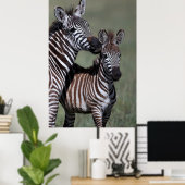 Zebra African Wildlife Poster Print (Heimbüro)