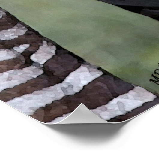 Zebra African Wildlife Poster Print (Ecke)