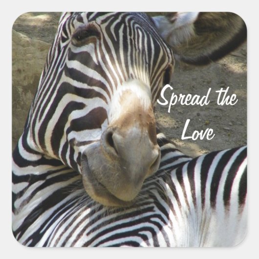 Zebra, alle Fälle_ Quadratischer Aufkleber (Vorderseite)