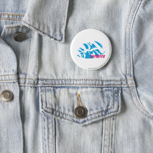 Zebra-Aqua Button (Beispiel)