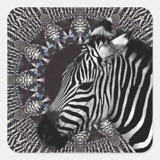Zebra Art Sticker (Vorderseite)