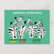 Zebra-Arten Postkarte