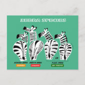 Zebra-Arten Postkarte (Vorderseite)