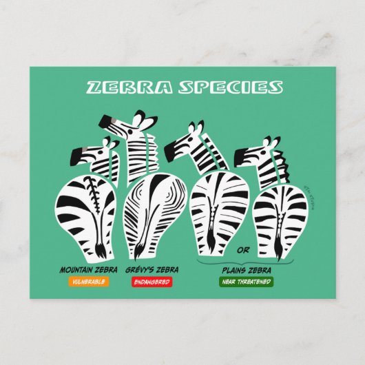 Zebra-Arten Postkarte (Vorderseite)