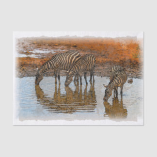 Zebra Artwork Decoupage Seidenpapier