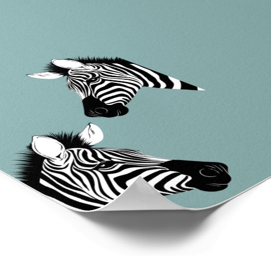 Zebra auf blaues Poster (Ecke)