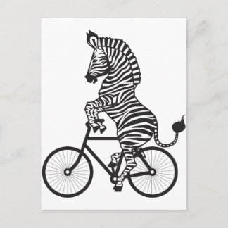 Zebra auf dem Bike Postkarte