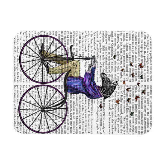 Zebra auf dem Fahrrad Magnet (Horizontal)