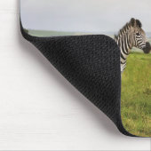 Zebra auf dem Land, Südafrika Mousepad (Ecke)