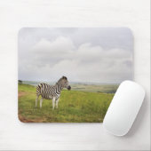 Zebra auf dem Land, Südafrika Mousepad (Mit Mouse)