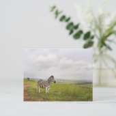 Zebra auf dem Land, Südafrika Postkarte (Stehend Vorderseite)