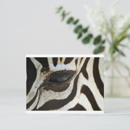 Zebra-Auge niedliches Seren-Bild Postkarte (Stehend Vorderseite)