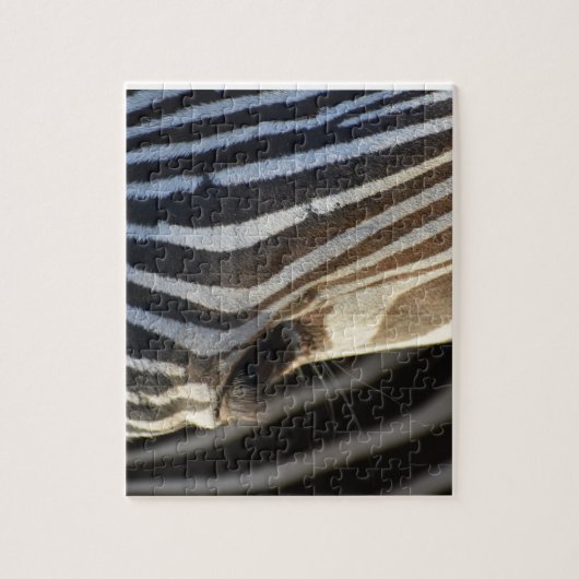 Zebra-Augen-Rätsel Puzzle (Vertikal)