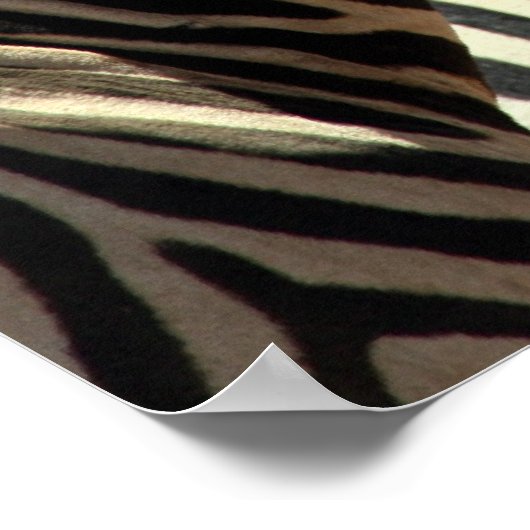 Zebra-Aussehen Poster (Ecke)