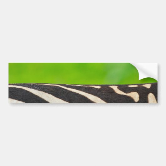 Zebra Autoaufkleber (Vorne)