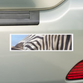 Zebra-Autoaufkleber Autoaufkleber (Auf Auto)