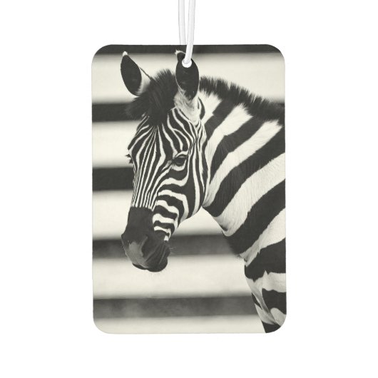 Zebra Autolufterfrischer (Rückseite)