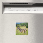 Zebra Baby and Mom Magnet (In Situ (Geschirrspüler))