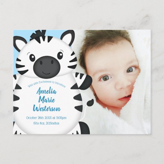 Zebra Baby Shower Blue Postkarte (Vorderseite)