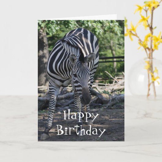 Zebra Birthday Card Karte (Gelbe Blume)