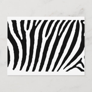 Zebra Black & White Lines Postkarte