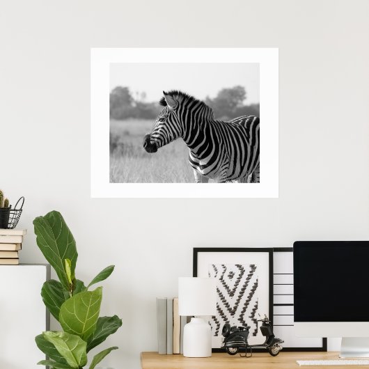 Zebra Black & White Print Poster (Heimbüro)