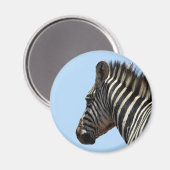 Zebra blau magnet (Vorderseite/Rückseite)